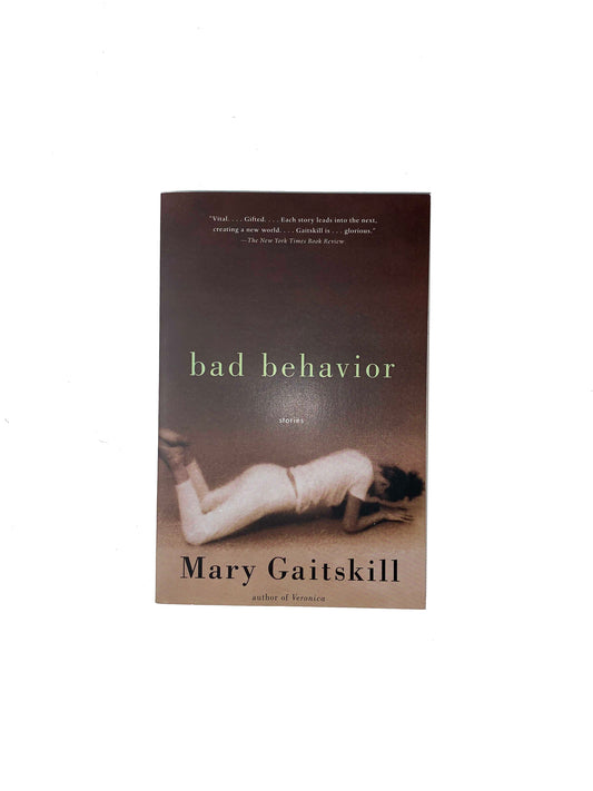 Bad Behavior book, by Mary Gaitskill.