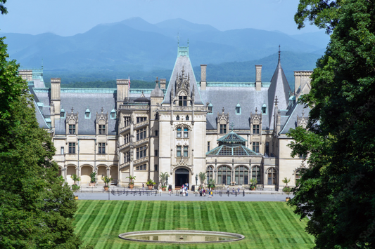 A Glimpse into the Lavish Life of the Vanderbilt Family: New York City's Glamorous Dynasty