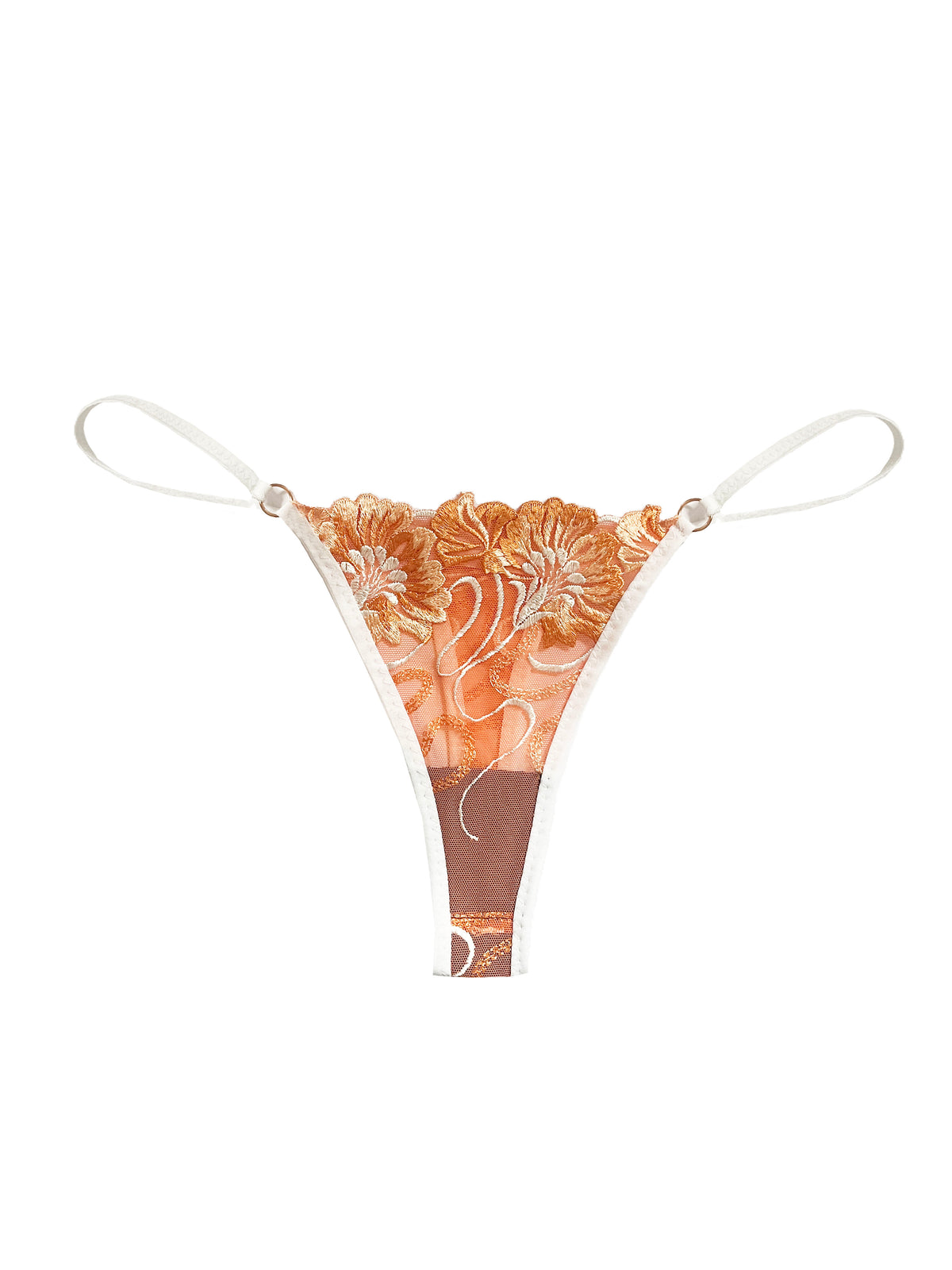 Womens Undies (Buy 3 & Get 20% OFF*) - Undies for Women - TITOV Womens Undies (Buy 3 & Get 20% OFF*) - Undies for Women - TITOV