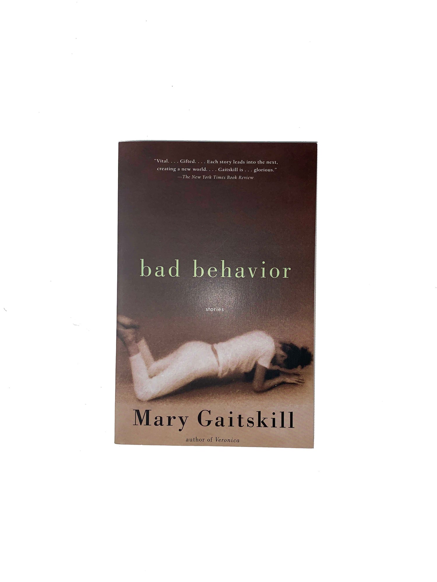 Bad Behavior Examples Book Bad Behavior Book – TITOV